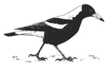Magpie Upstyle Market